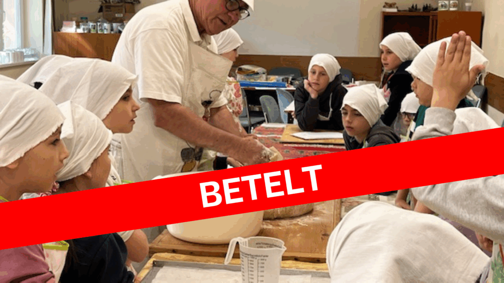 Kemencés tábor – BETELT